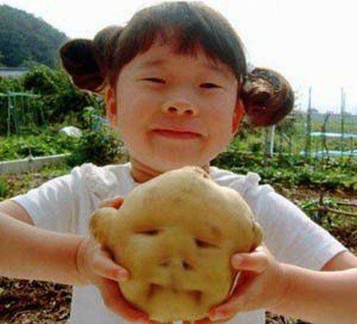 [Potato+head.jpg]