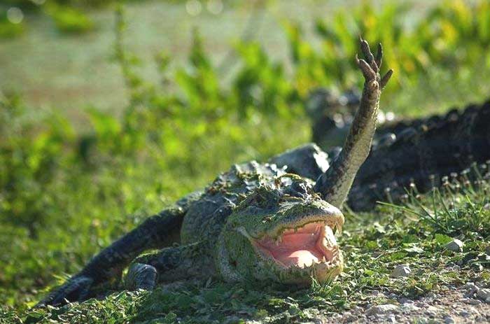 [Hello+there.jpg]