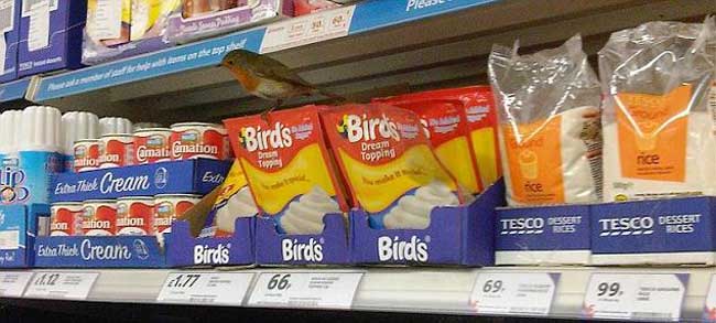 supermarket shelves tesco