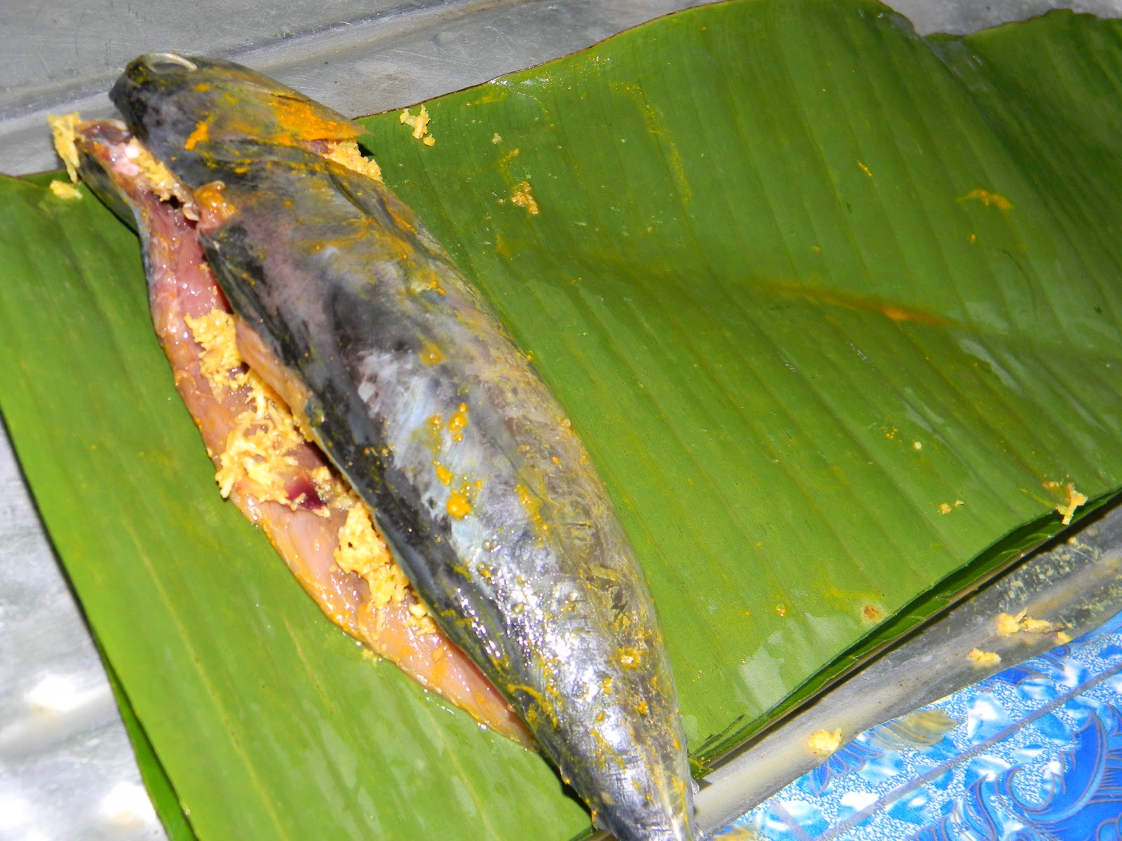 Bahagian Luar Ikan
