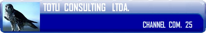 Totli  Consulting