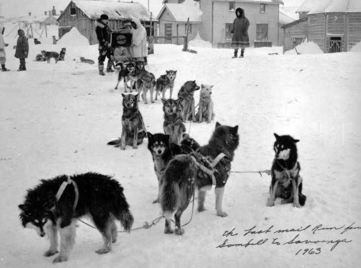 forum rencontre canine