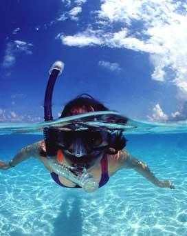 [snorkeling.jpg]