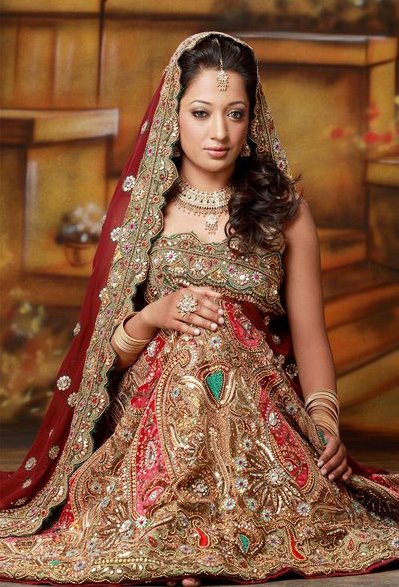 http://1.bp.blogspot.com/_fB_qejUXxJI/SRm4l-XykaI/AAAAAAAABDI/8qmAzShK_oE/s1600/bridal%2Blengha%2Bcholi035.jpg