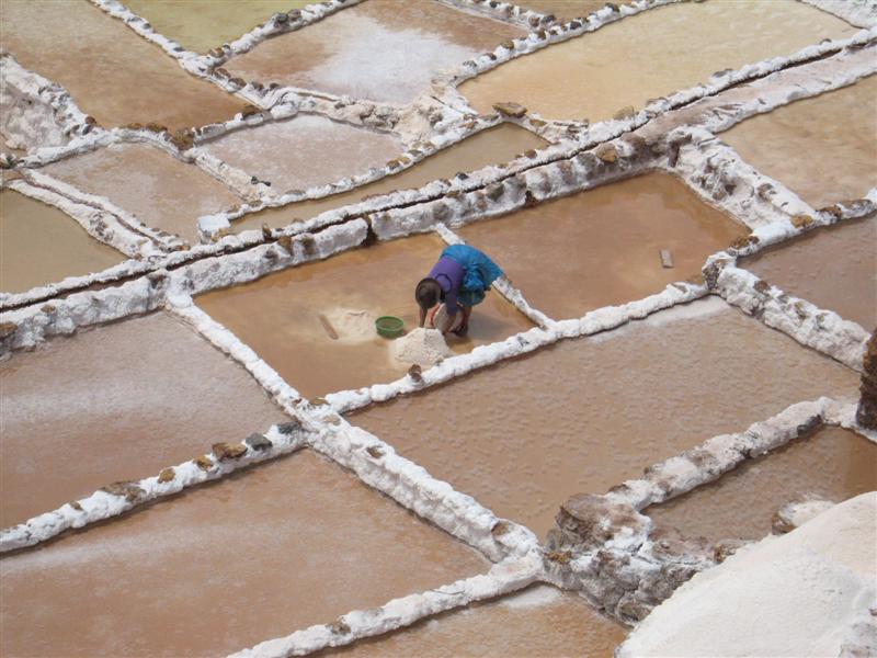 [3342_salinas-7+(Medium).jpg]