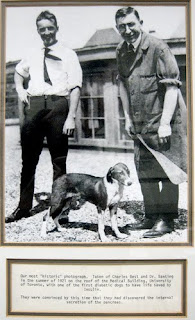 Frederick banting essay 08 image