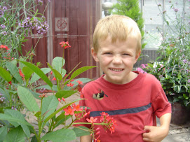 Butterfly on Tyler's shirt