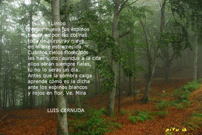 [limbo-luis_cernuda.JPG]