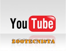 NUESTROS VIDEOS