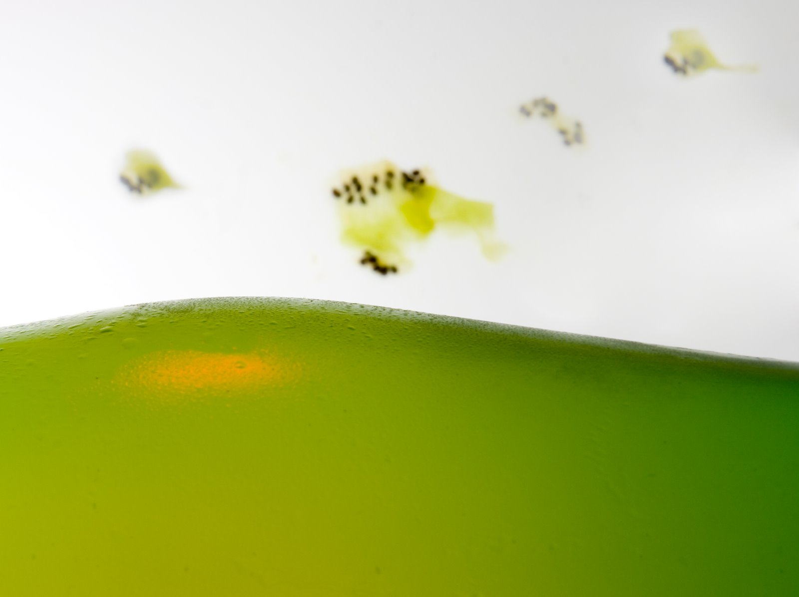 [après+la+pluie.jpg]