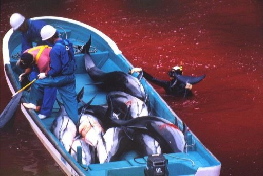 Japan Mercury Poisoning