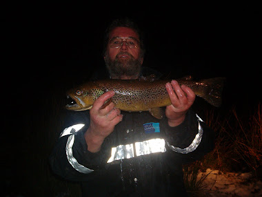 3lb brownie from redds