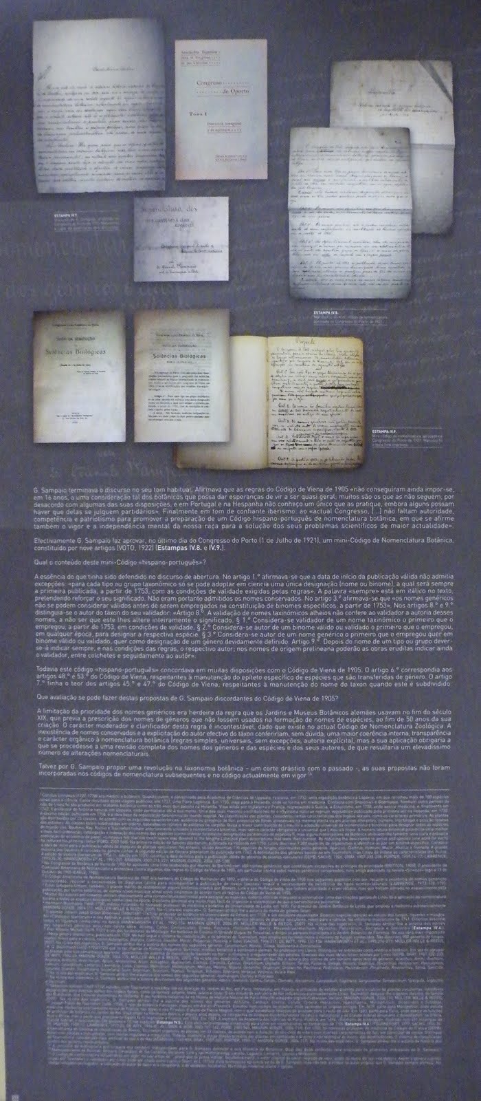 [DSCF7670.JPG]