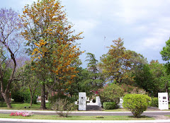 PLAZA SAN MARTÍN