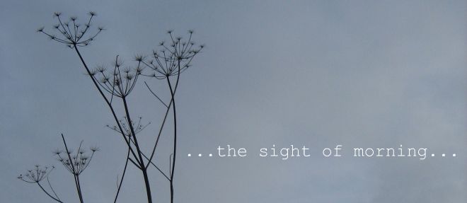 ...the sight of morning...