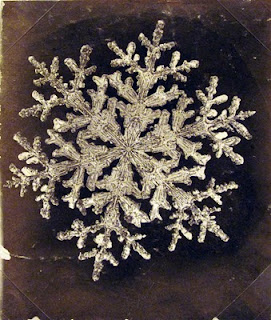 fotomiografia15 feita por wilson a bentley de um floco de neve_cristal de neve