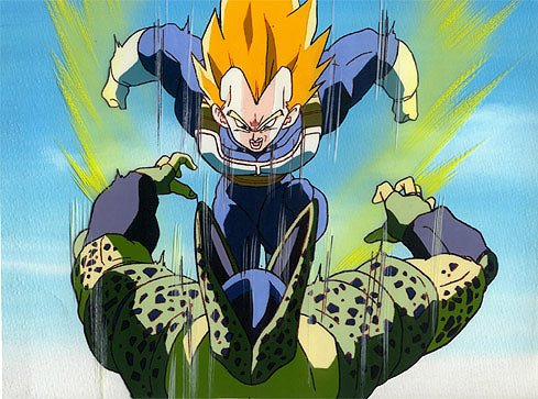 [infos_cell2_03.jpg]