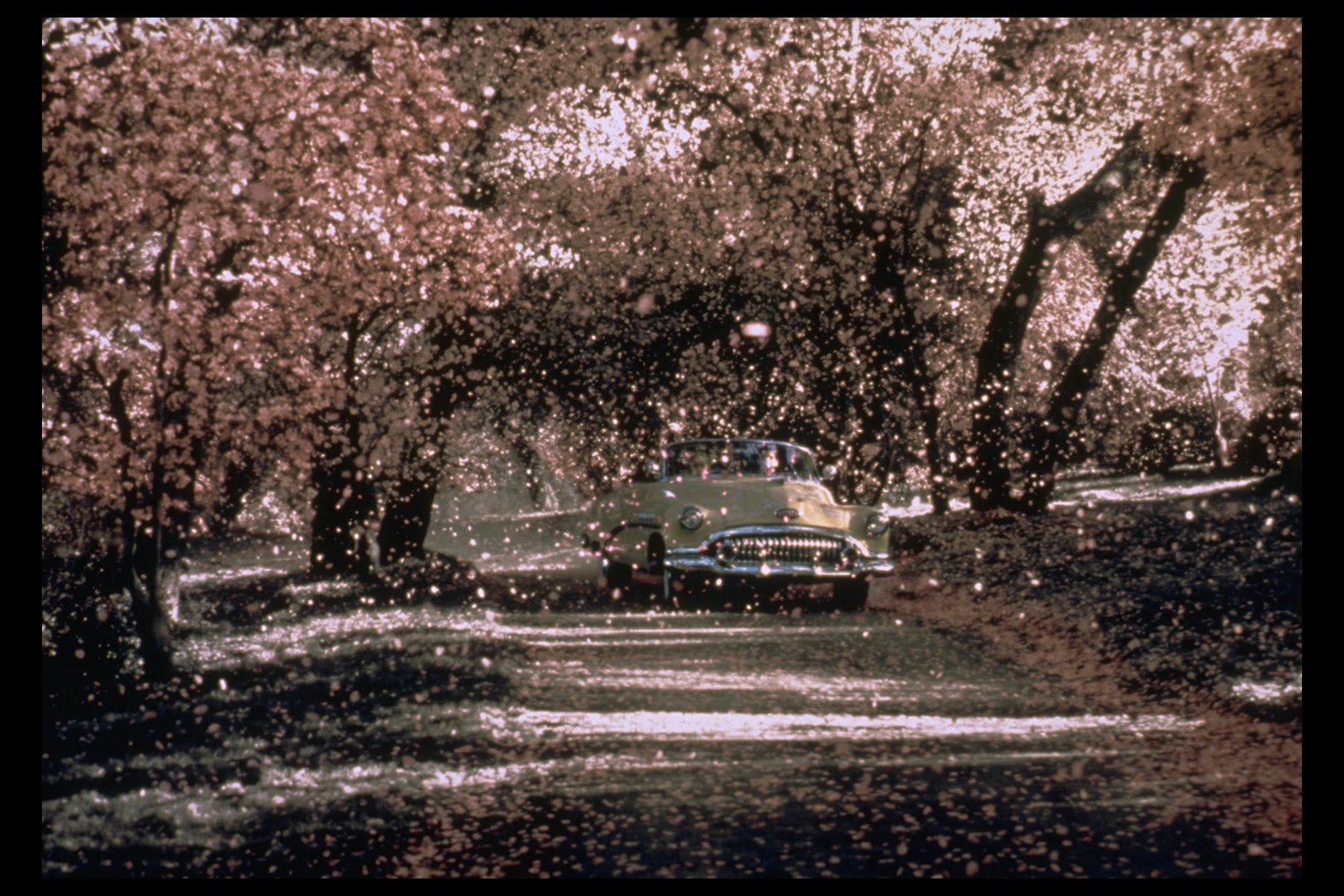 Pleasantville’ and ‘The Truman Show’ Unveiled | Final Essay