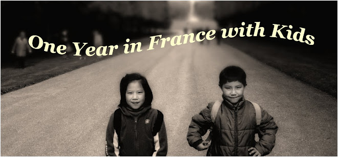 One Year in France with Kids