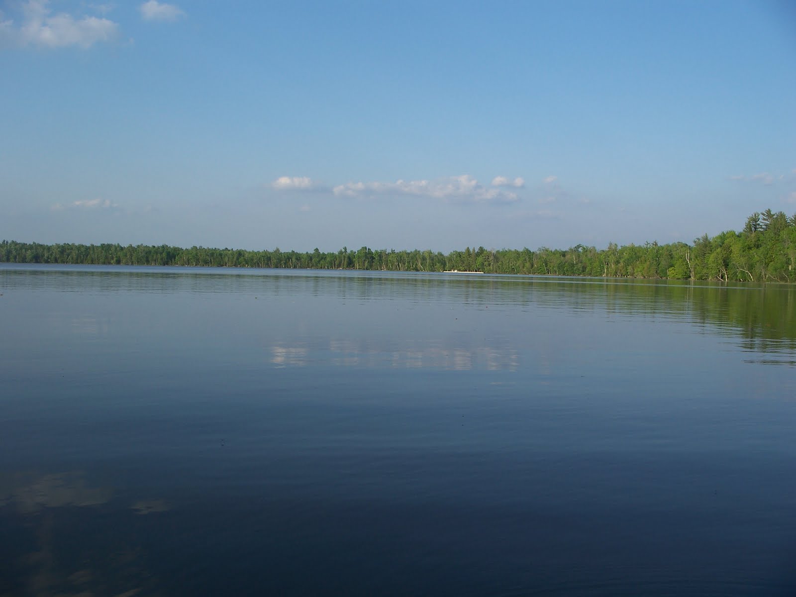 Dren of the Wilderness Pine Lake near Wellston, MI