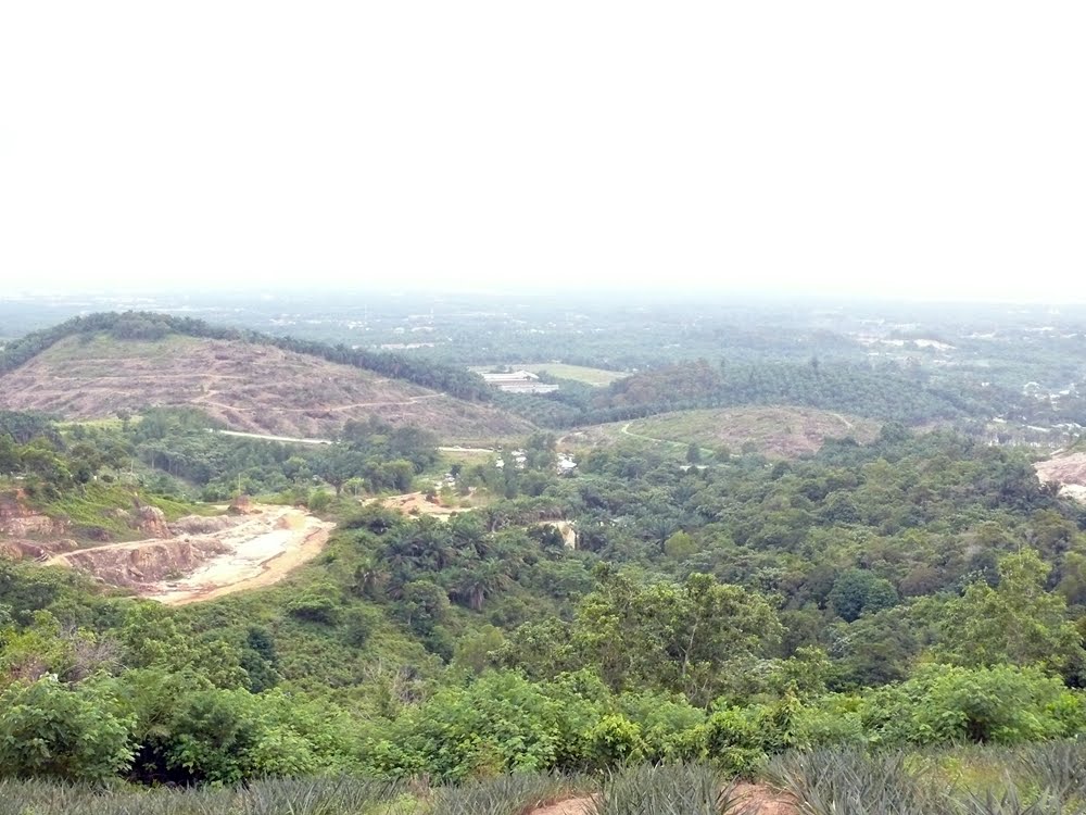 Bukit Ramli