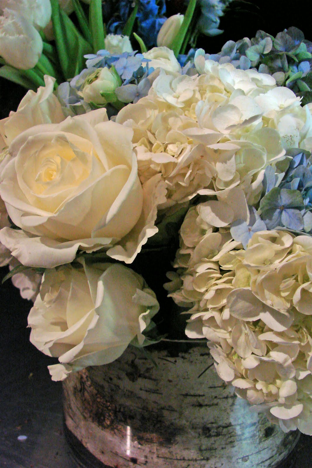 [2006+05+03_0043_edited-1.JPG]