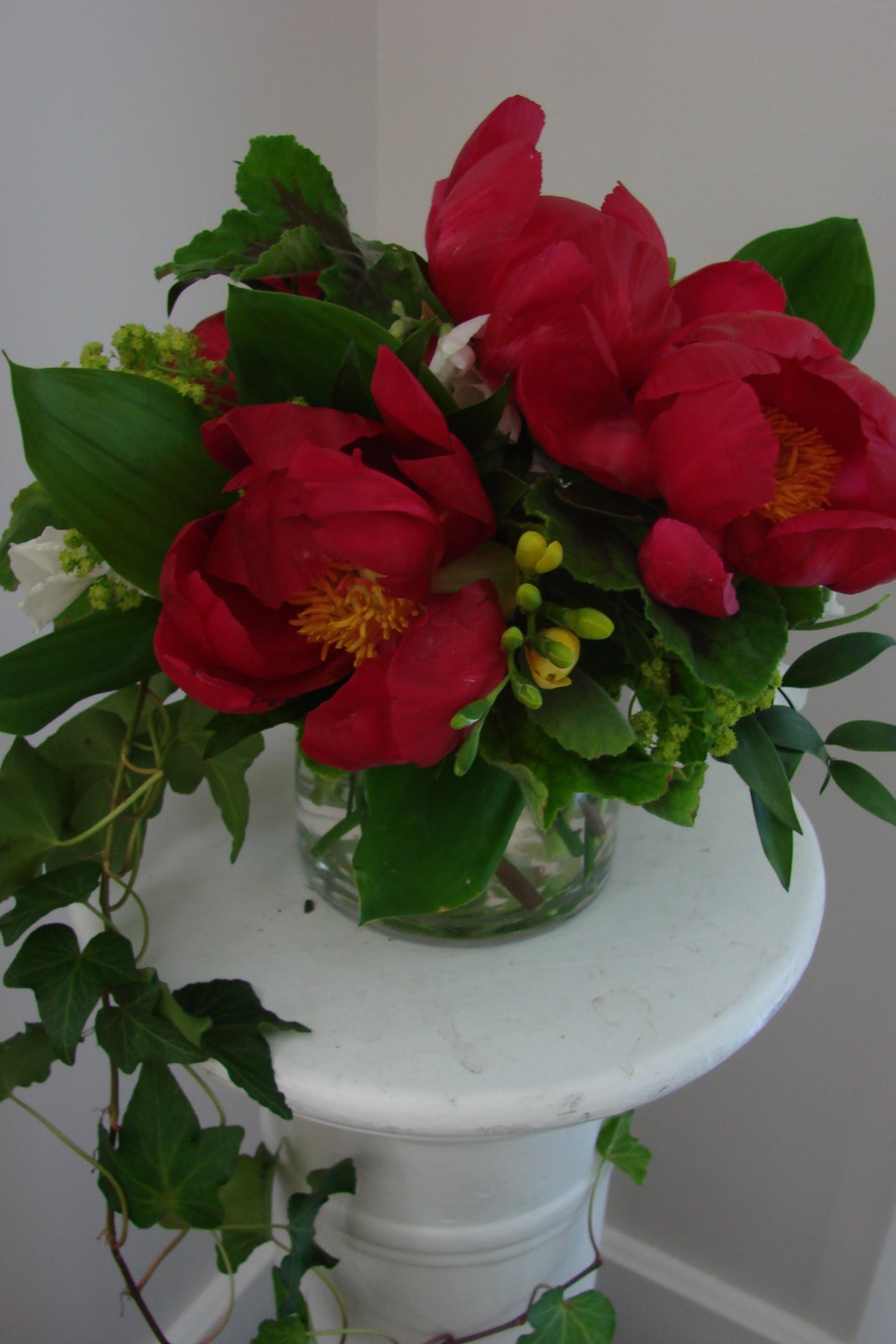 [DSC03884.JPG]