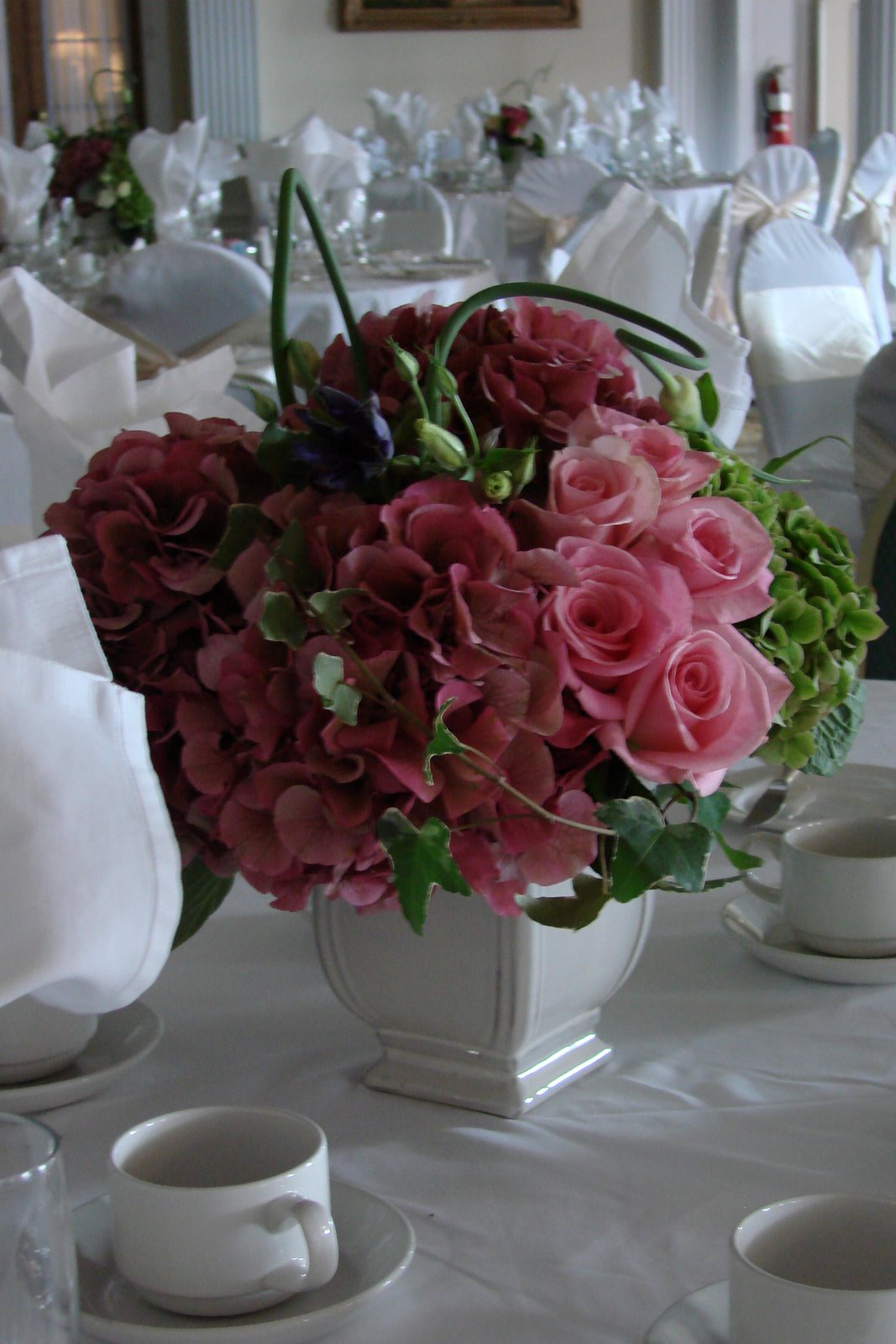 [DSC04372.JPG]