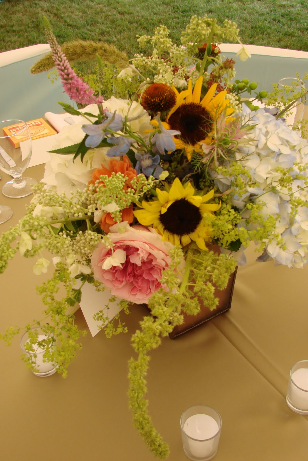 [DSC04690.JPG]