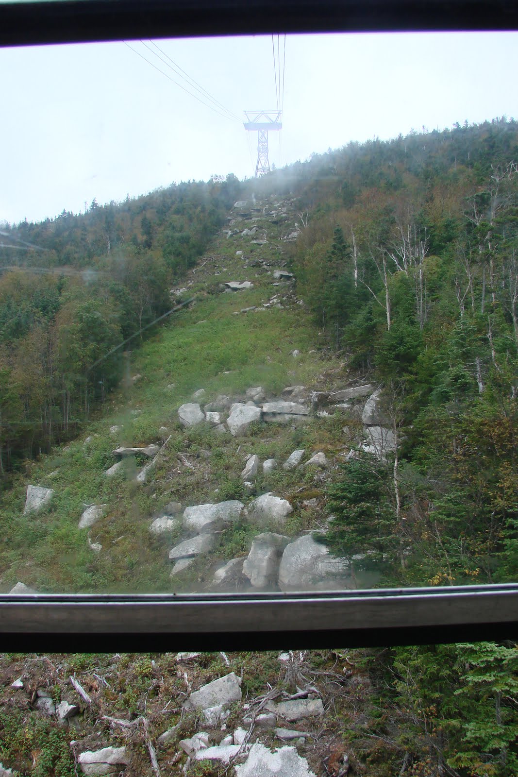 [DSC04988.JPG]