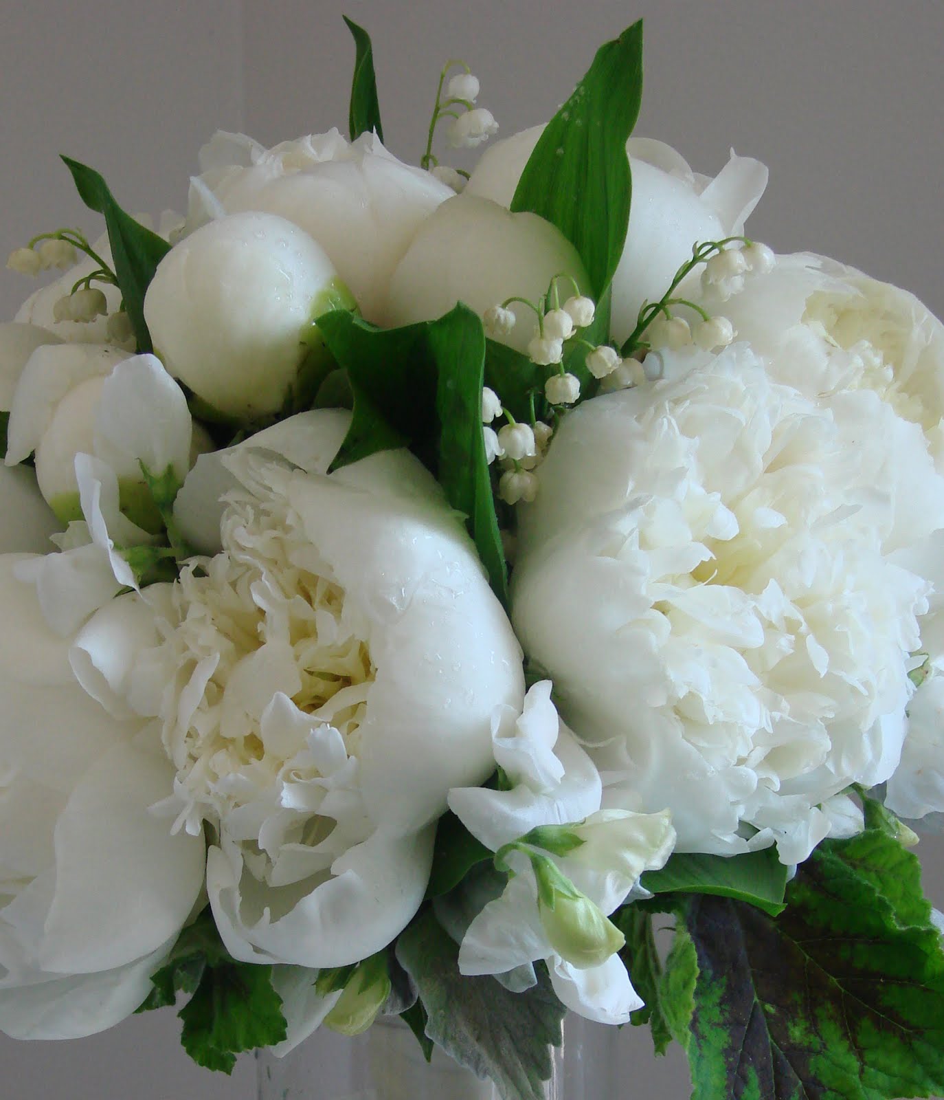 [DSC03831_edited-1.JPG]