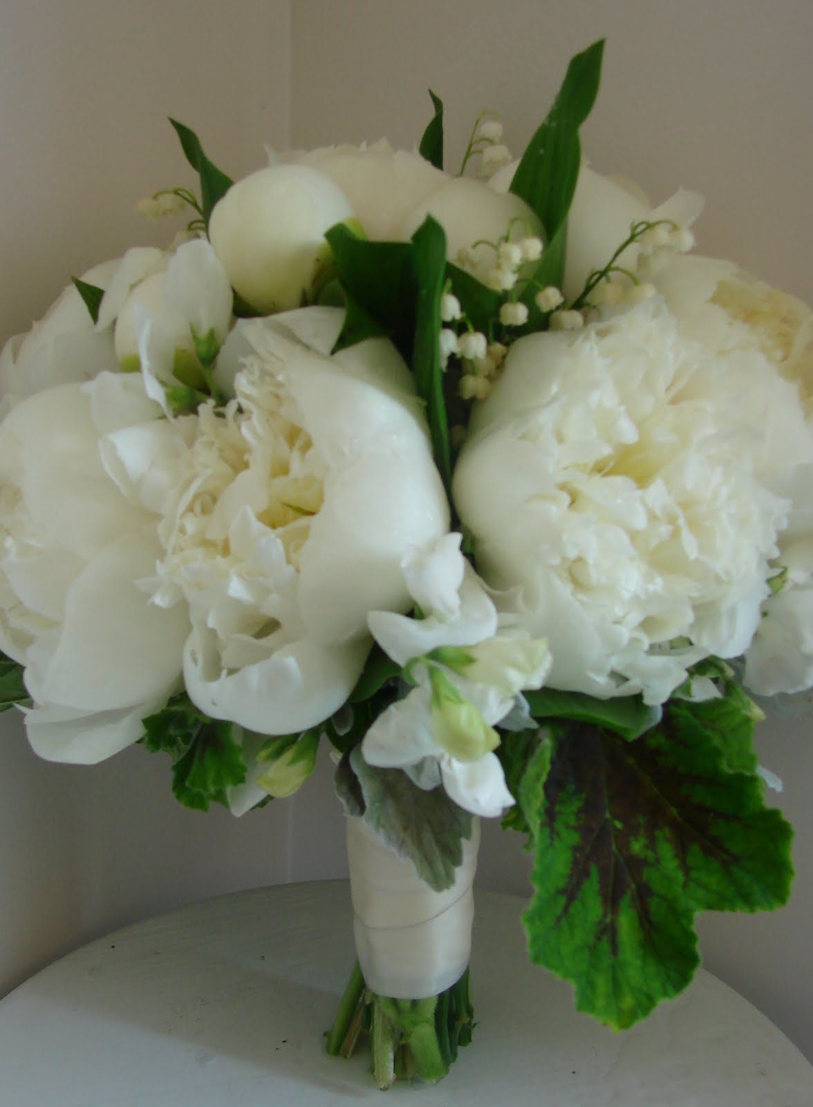 [DSC03834_edited-1.JPG]