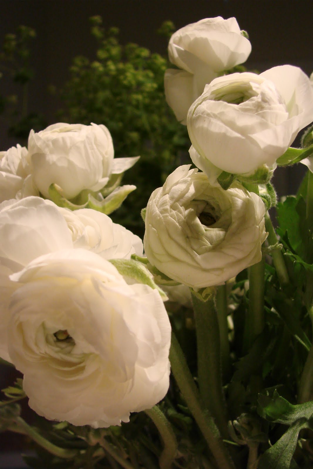 [DSC05731.JPG]
