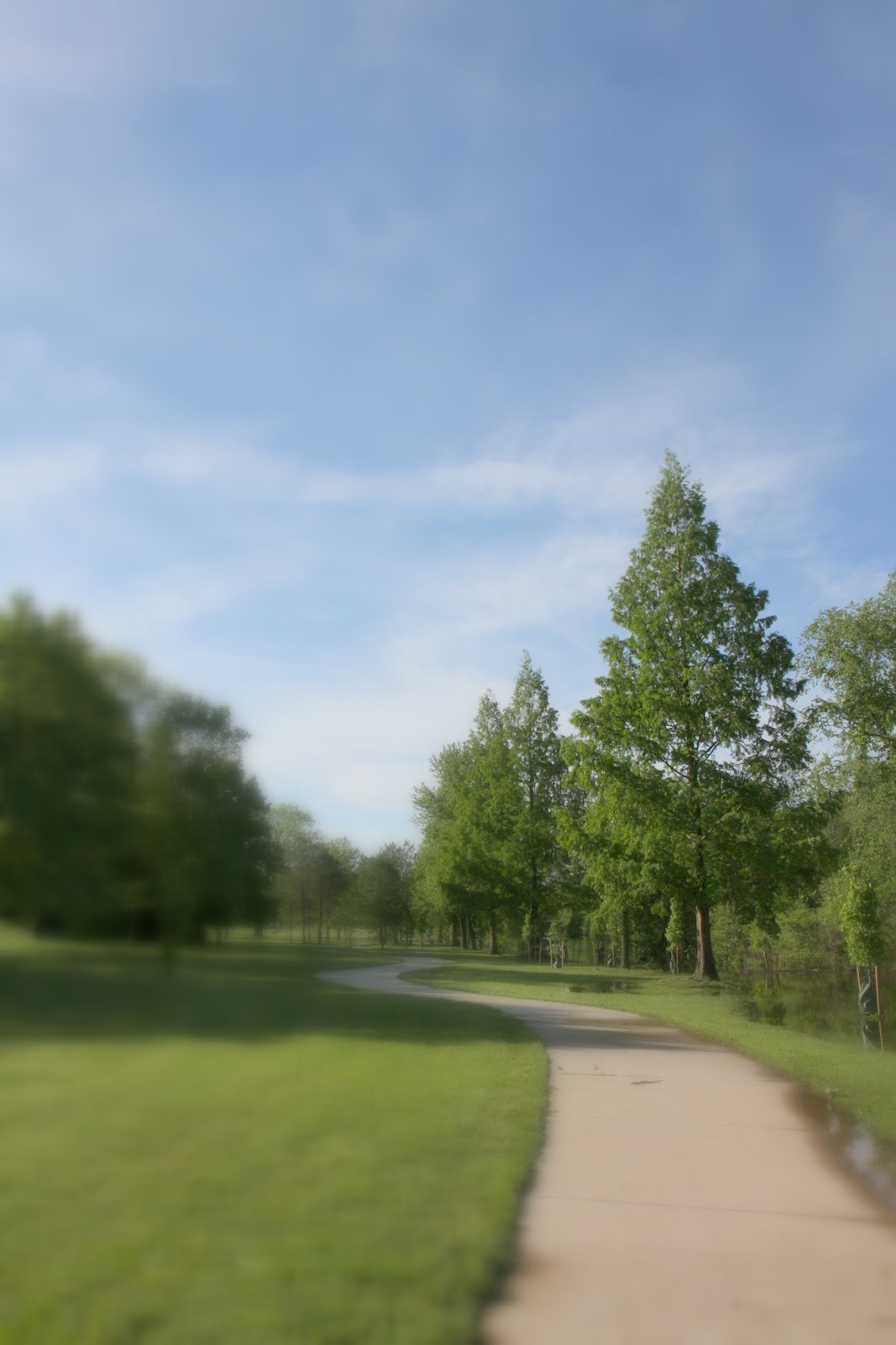 [IMG_4382.JPG]