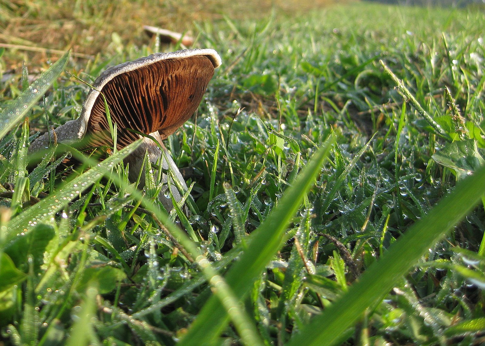[IMG_1315.JPG]