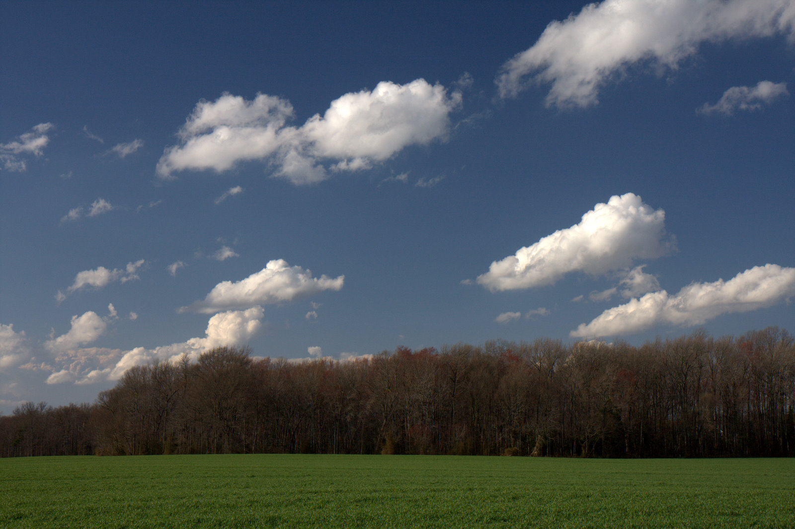 [IMG_6330.jpg]