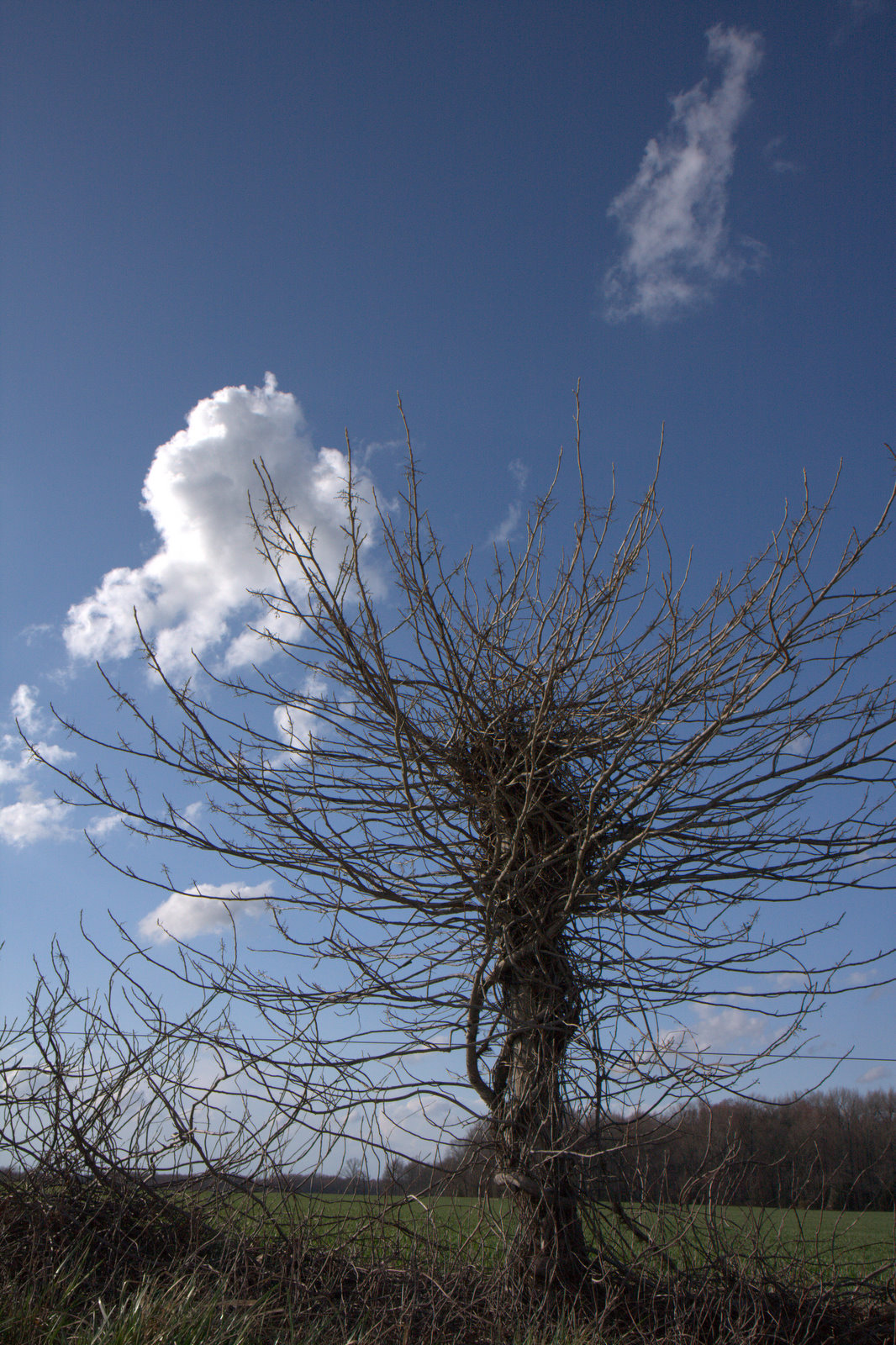 [IMG_6348.jpg]