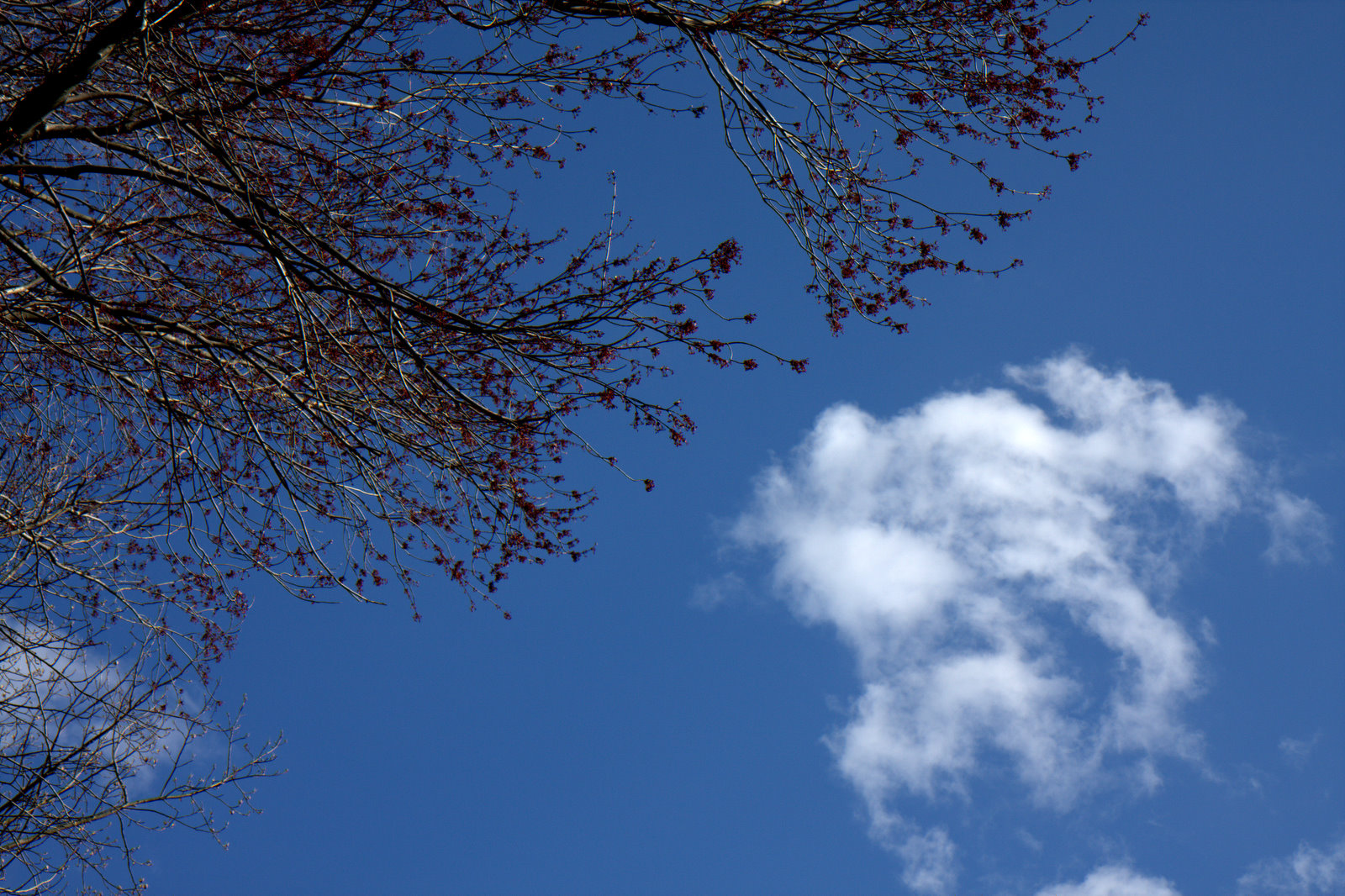 [IMG_6318.jpg]