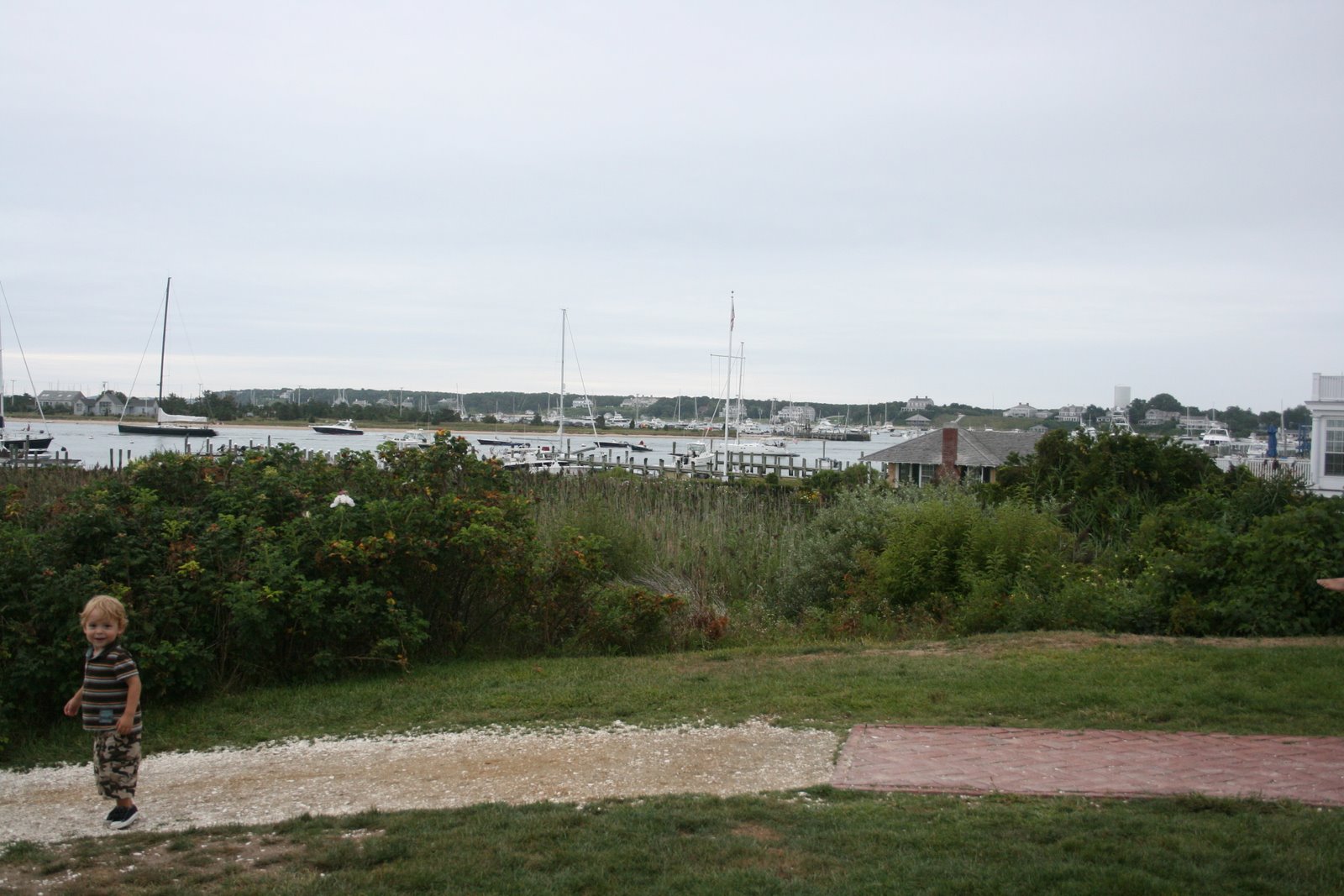 [IMG_6736.JPG]