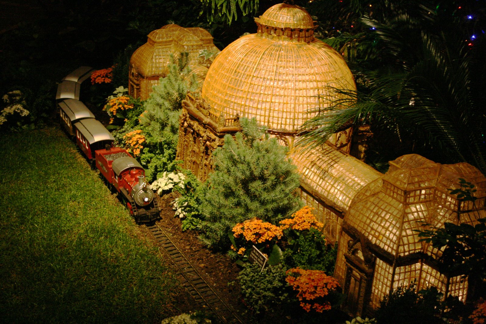 [IMG_7483.JPG]