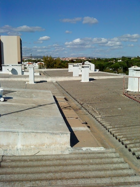 [DSC00066.JPG]