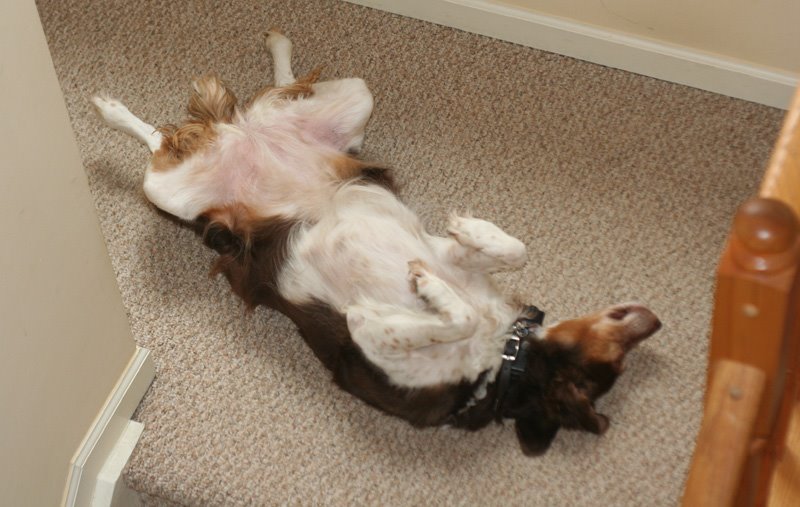 [caught_my_eye3.jpg]