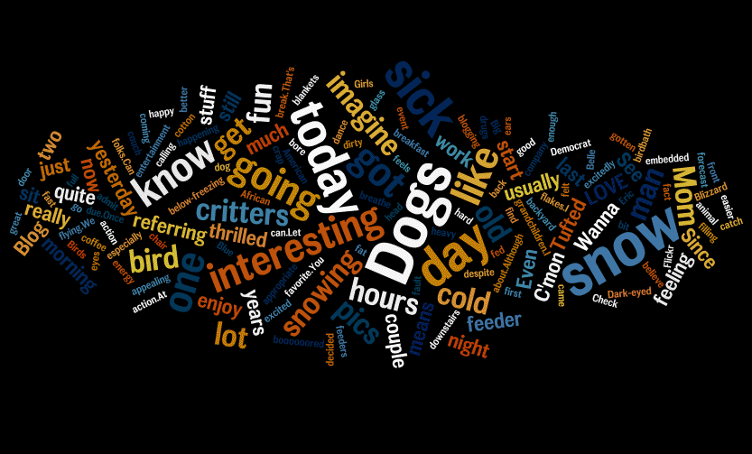 [wordle_23Jan2009.gif]
