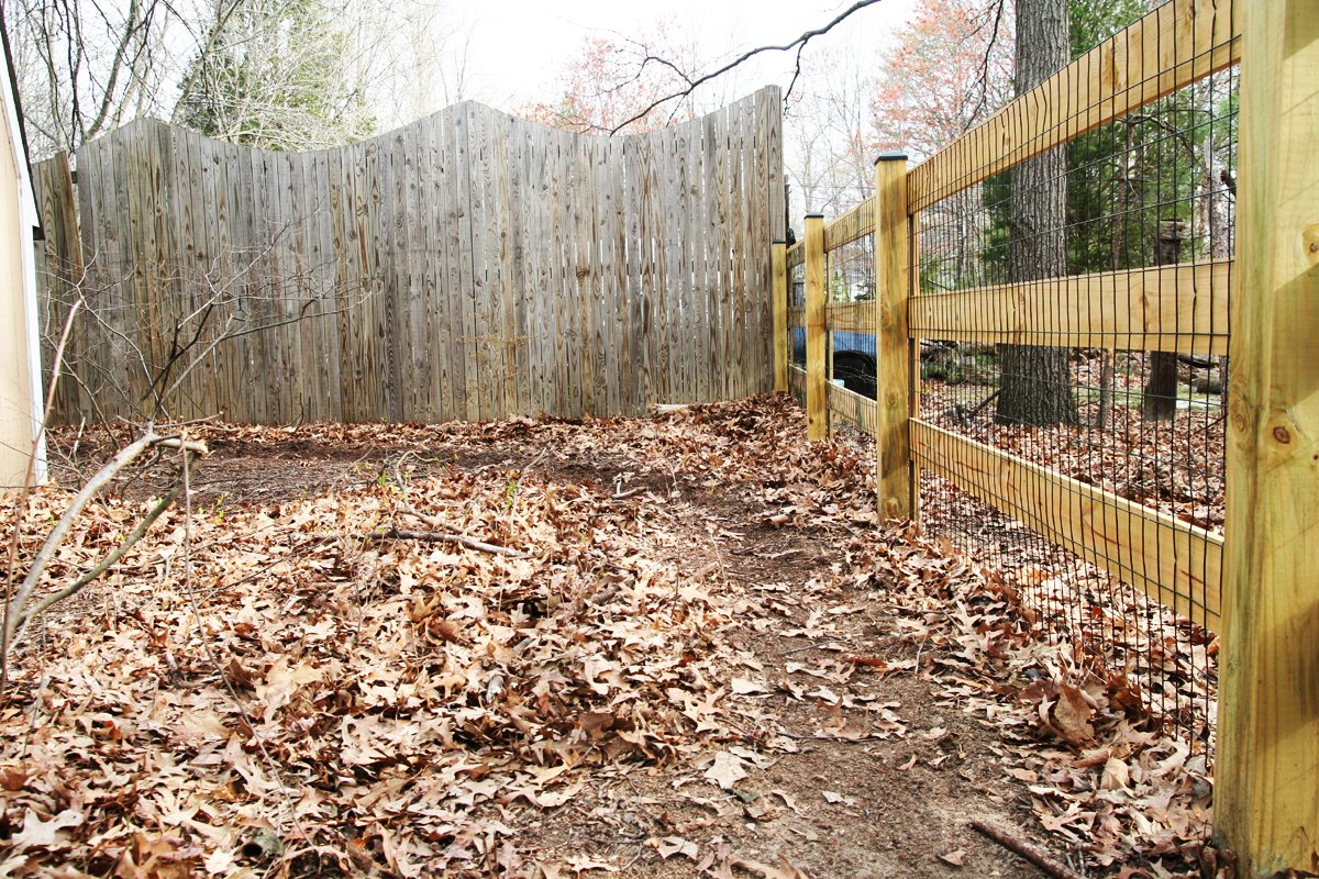 [southern-belle_3.jpg]