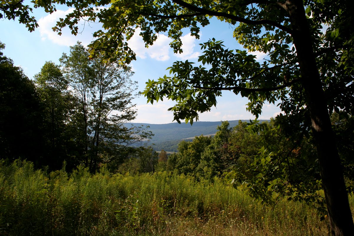 [neighbors-view.jpg]