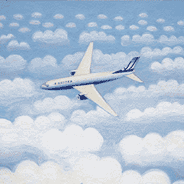 [Airplane_Over_Clouds.gif]