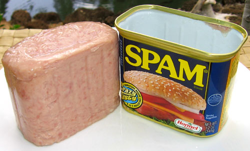 [spam_can_open.jpg]