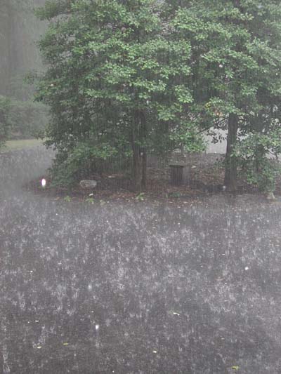 [RainingHard.JPG]