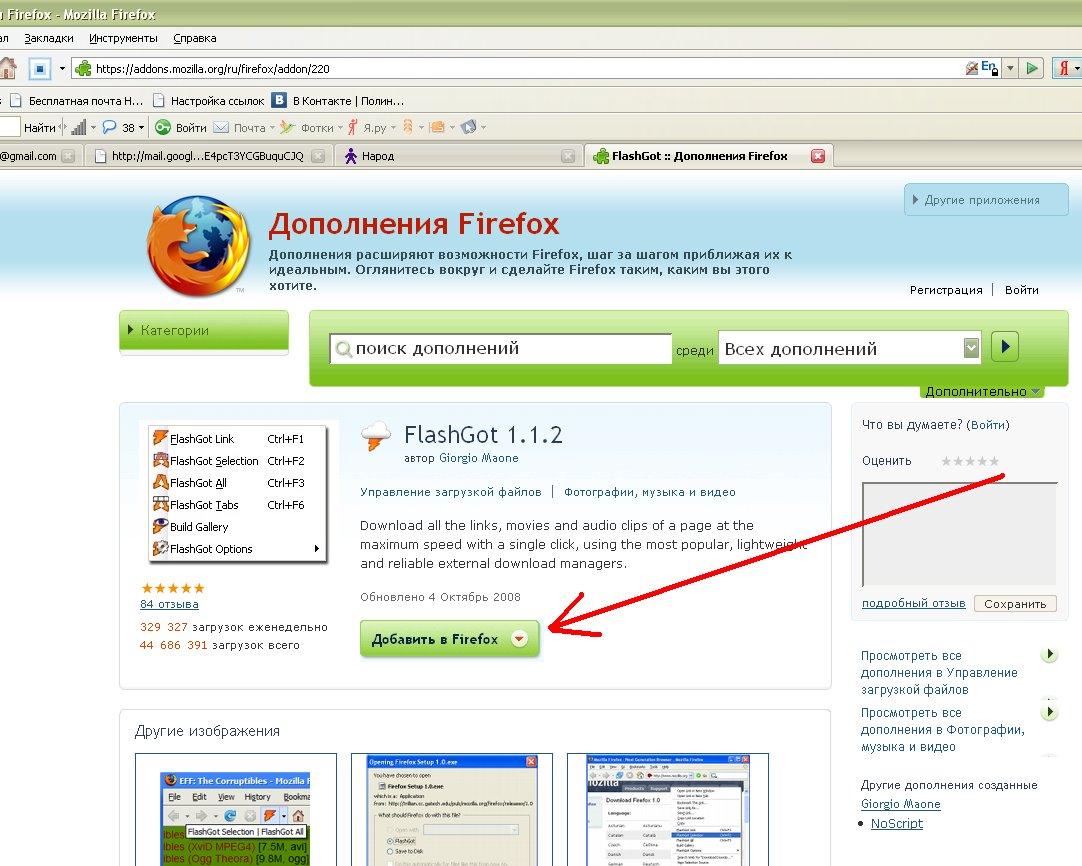 [0-install+Flashgot.bmp]