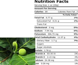 Breadfruit is a species of